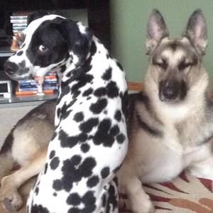 Meet your Posher, Jo